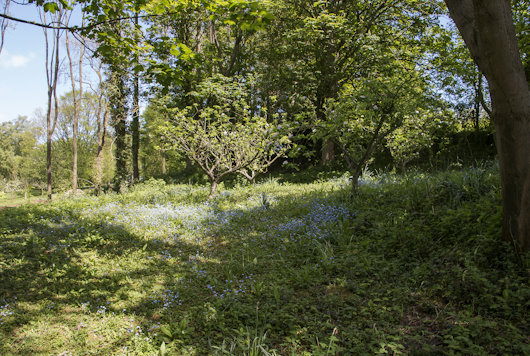 Walks nearby, White Lodge Holiday Cottage, Herefordshire